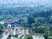 188足球比分直播网-188足球比分直播网，足球迷的实时信息港湾
