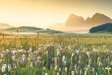 18世界杯波兰哪一组-波兰队在2018年俄罗斯世界杯的征程