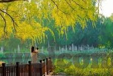 凯恩斯与悉尼足球比分-凯恩斯经济理论与悉尼足球比分的意外交响,一场跨领域的思维碰撞