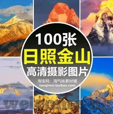 摩纳哥世界杯排位-摩纳哥世界杯排位,一场体育盛宴的激情与荣耀