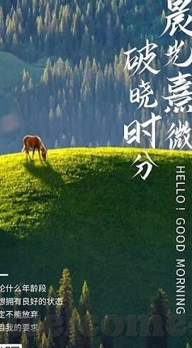 球琛比分足球即时 比分-球琛比分,足球即时比分的精准导航,球迷的激情伴侣